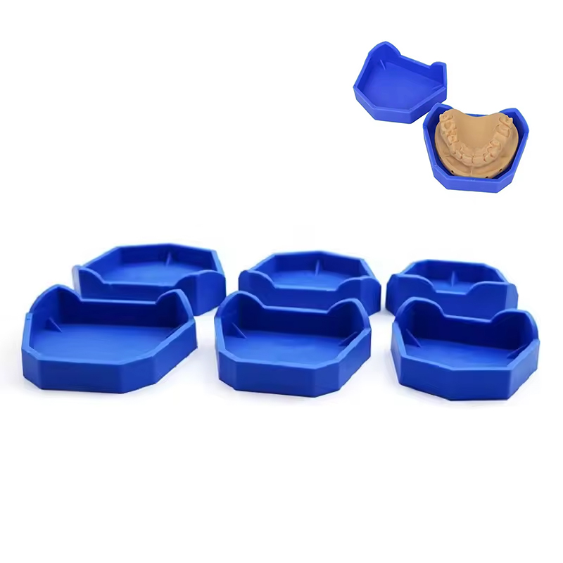 2/6Pcs Dental Model Base Silic - Model Kit Tool ulasan dan harga