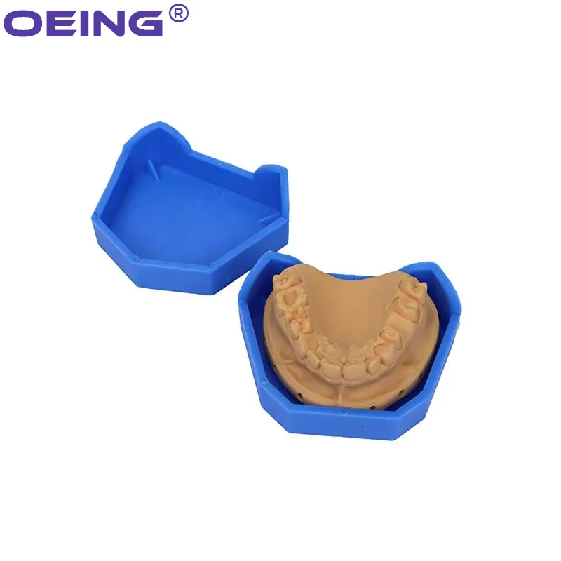 2/6Pcs Dental Model Base Silic - Model Kit Tool ulasan dan harga